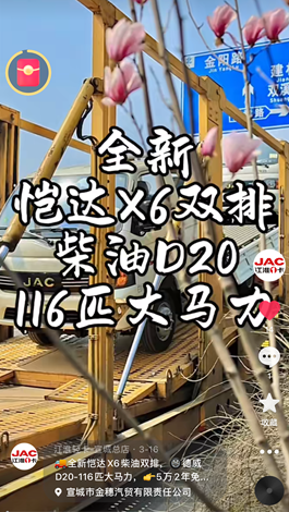 全新愷達X6柴油雙排，德威D20-116匹大馬力。